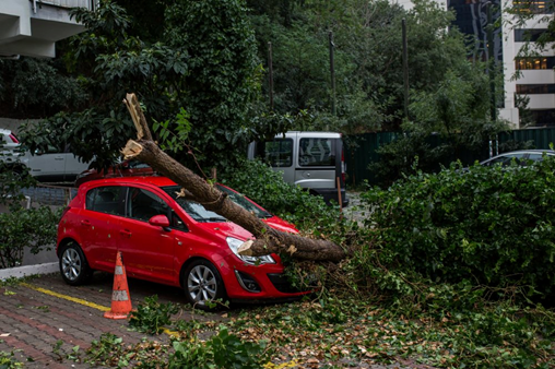 Storm-damaged car