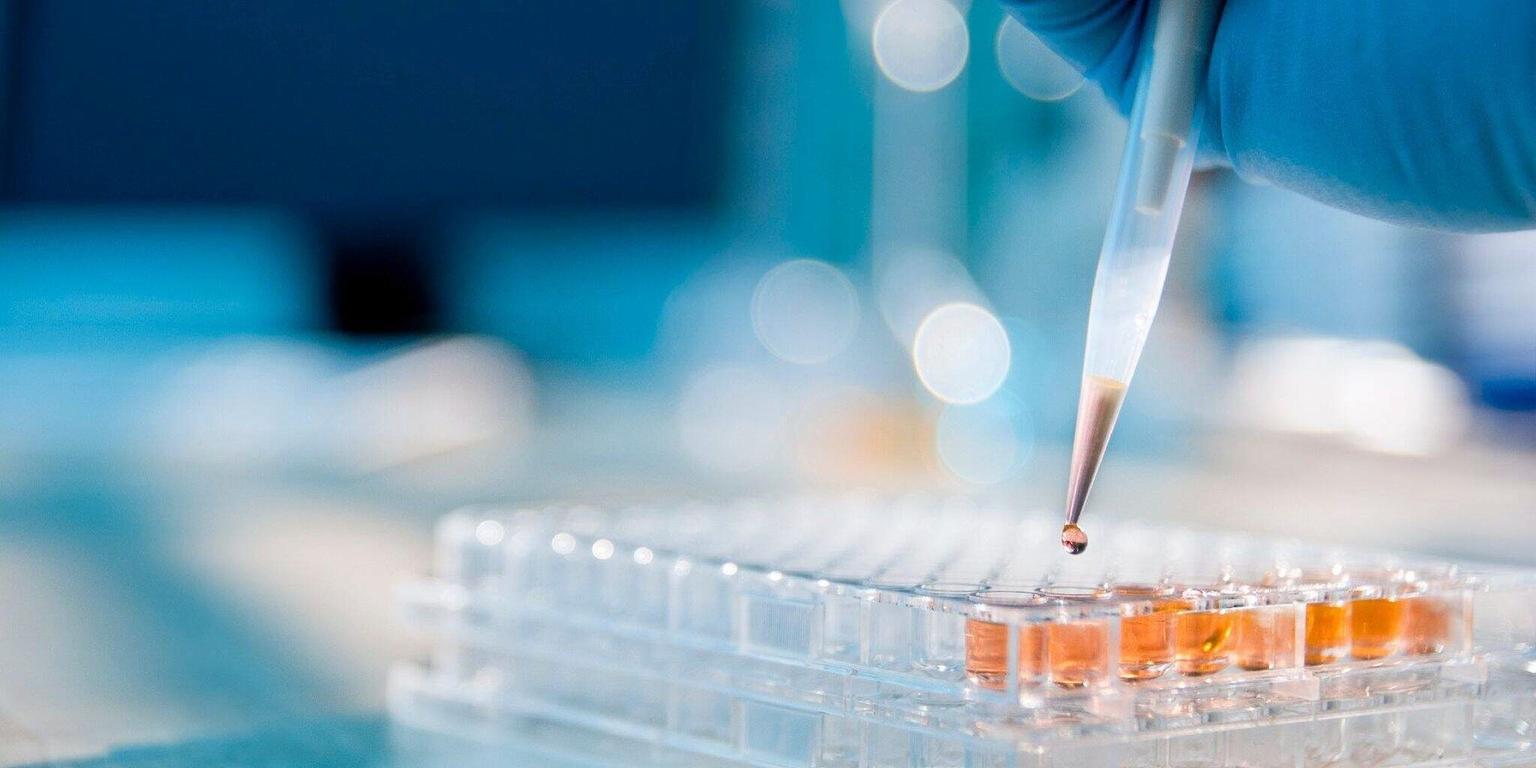 Sunset in the mountains