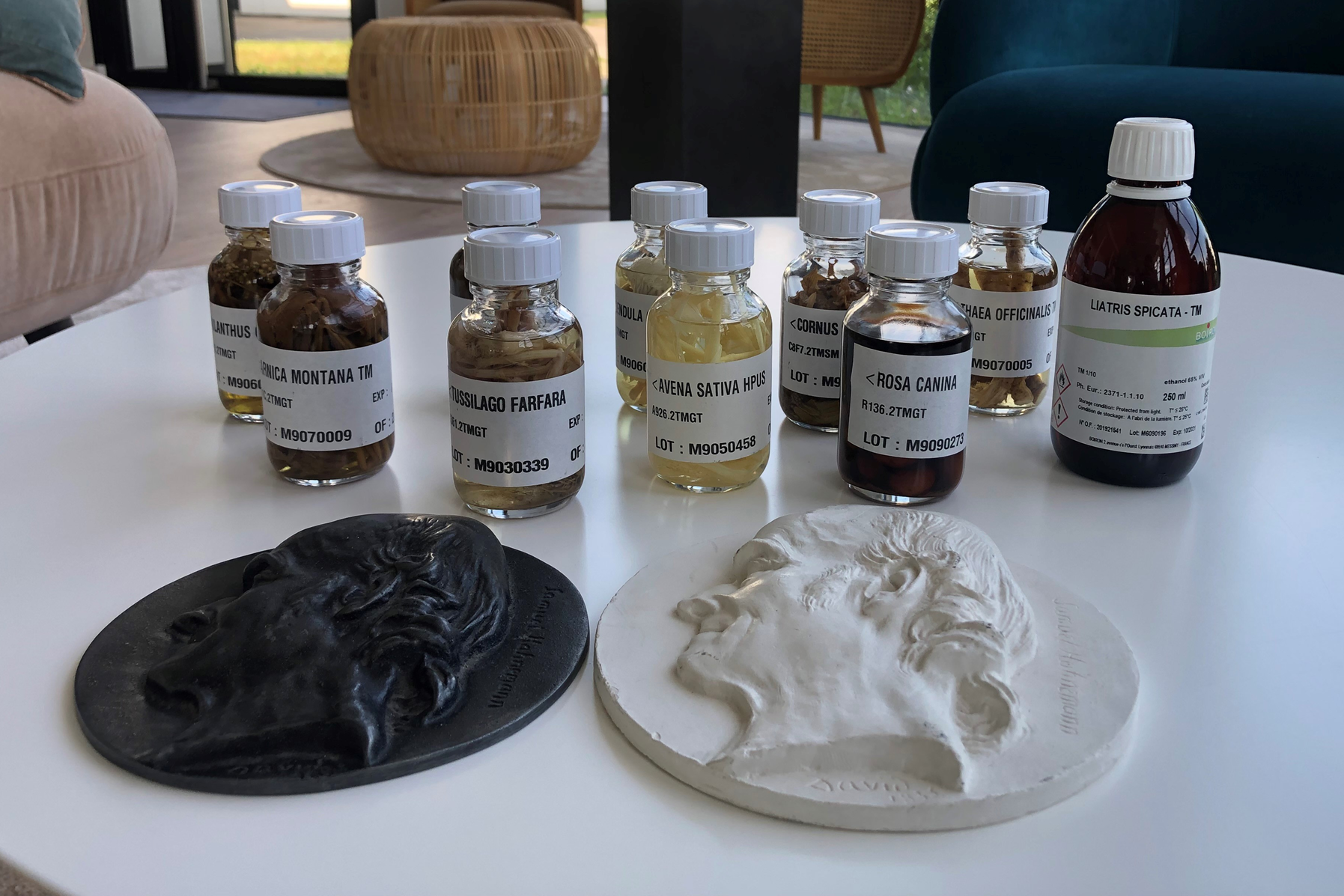 10. duben: Světový den homeopatie