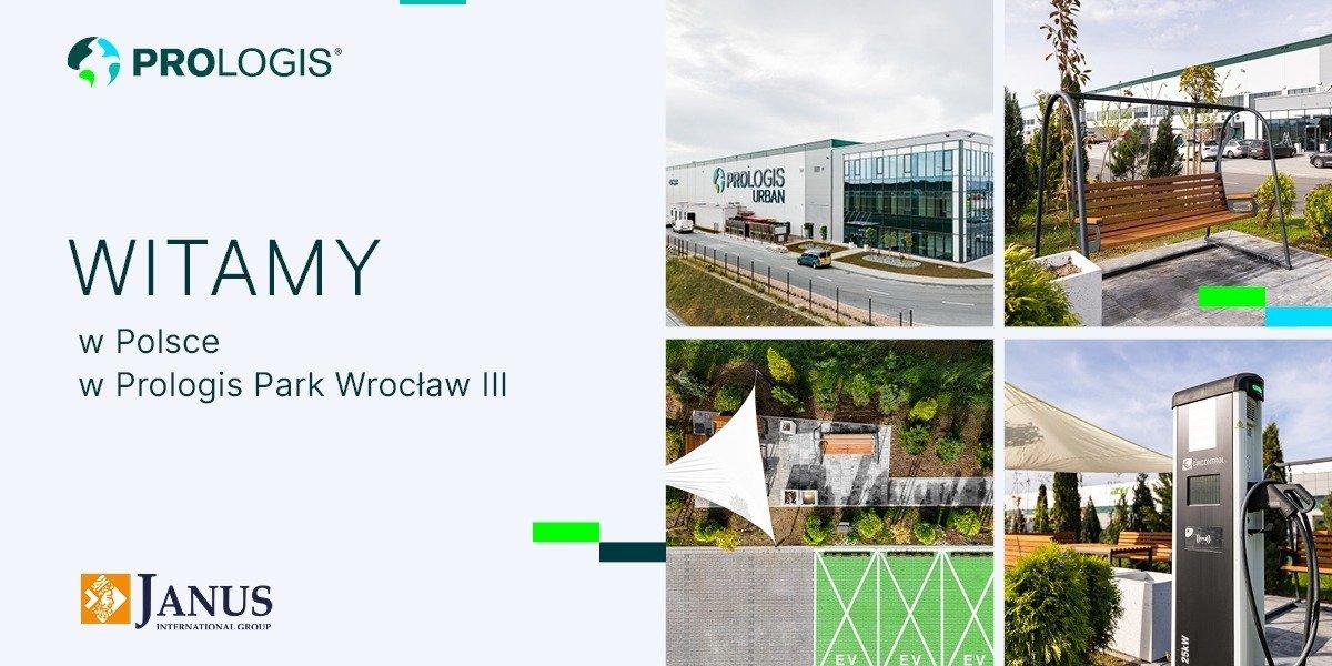 Sunset in the mountains