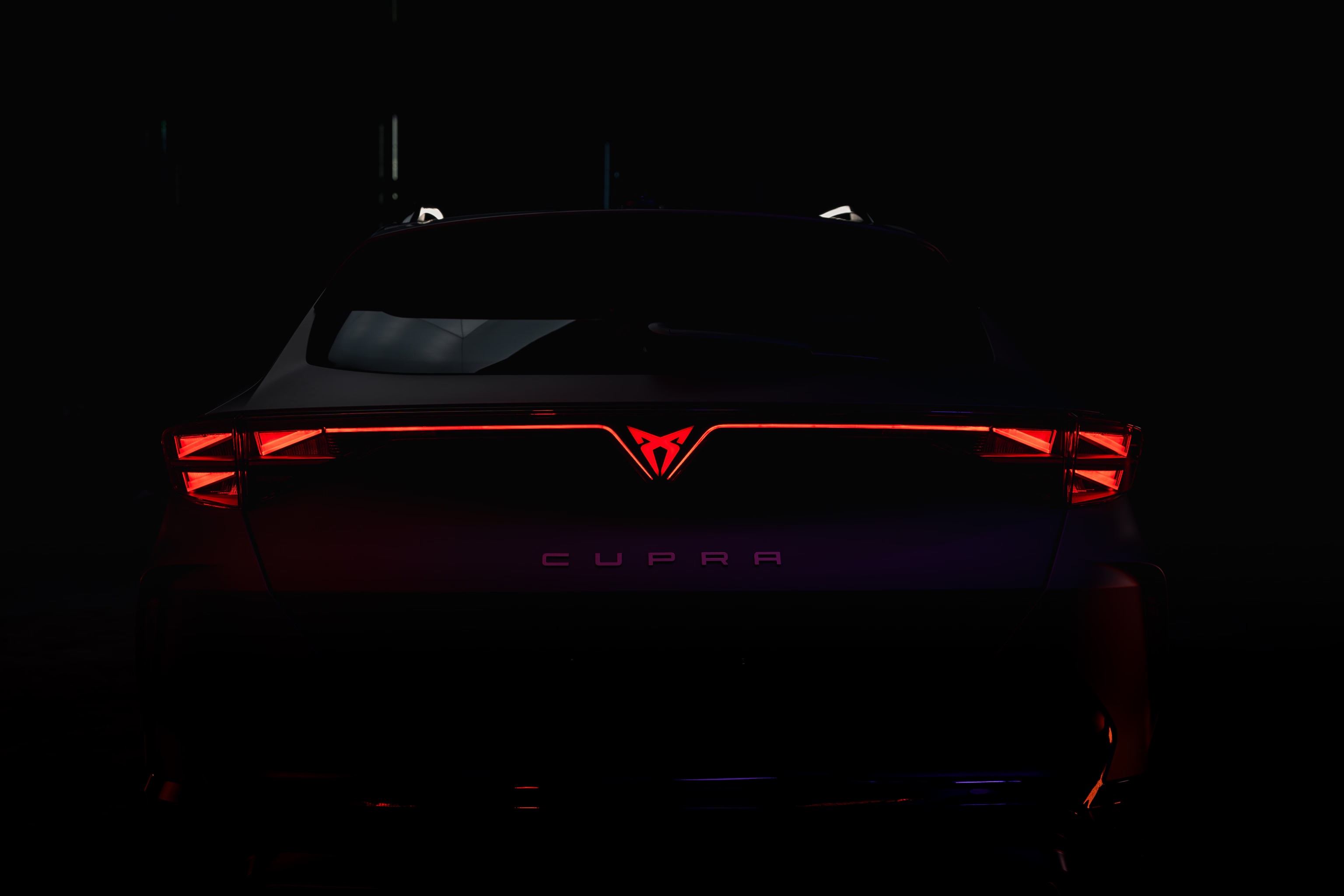 Źródło: Cupra.com