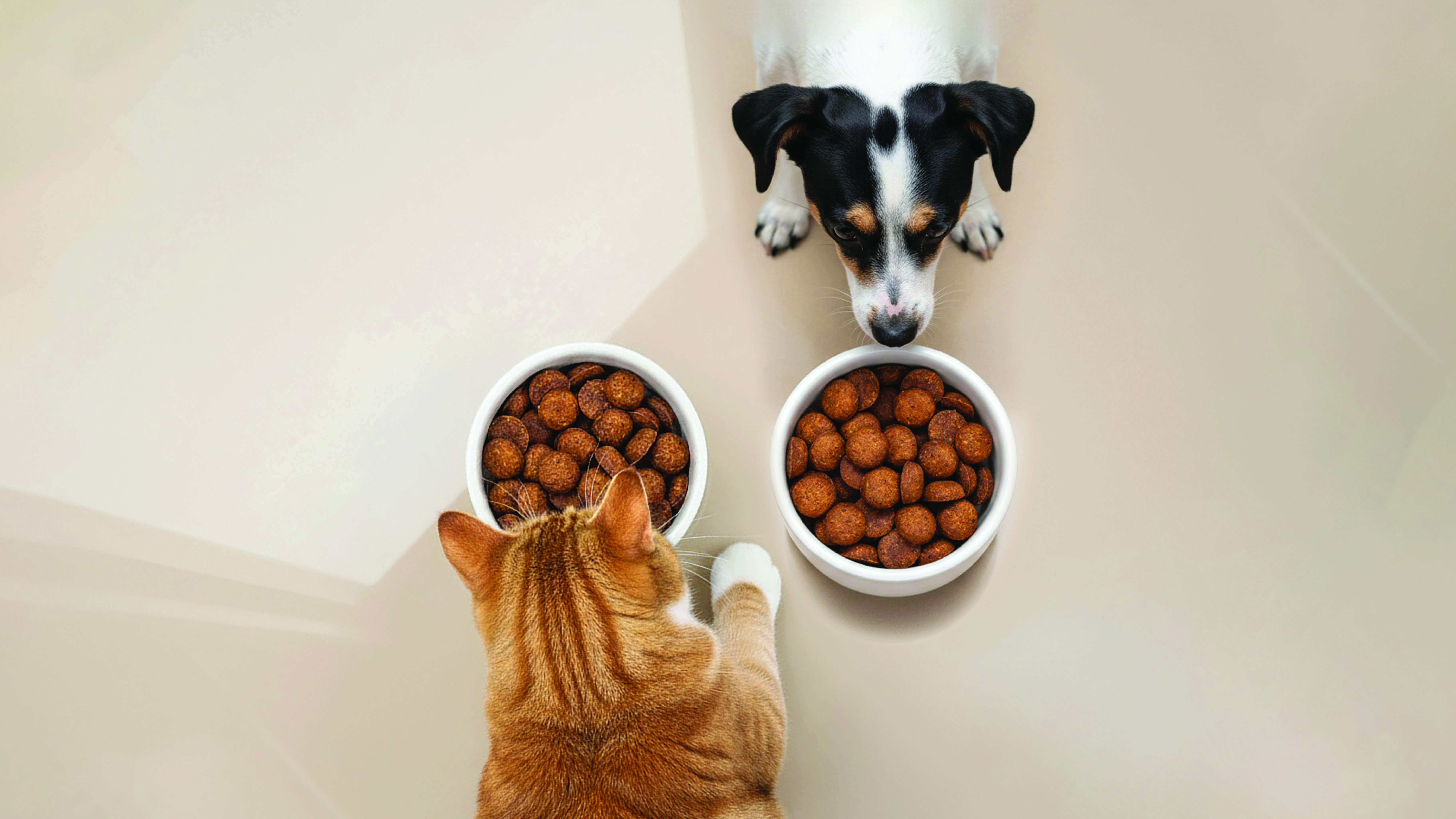 T&S PetFood