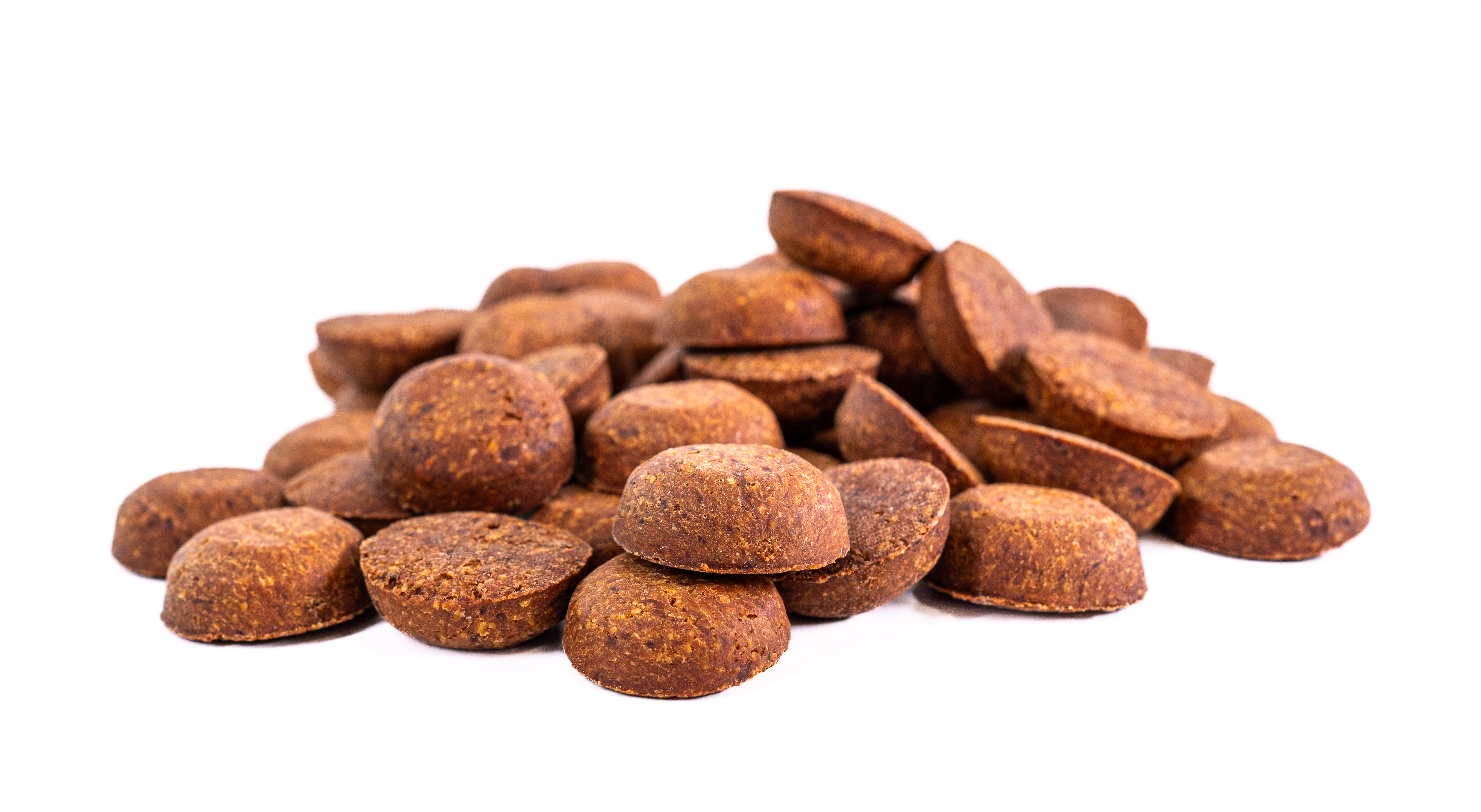 BeneMeat launches Try & Share Program today. The program invites those who want to provide products based on cultivated meat to their four-legged friends and share their experiences.