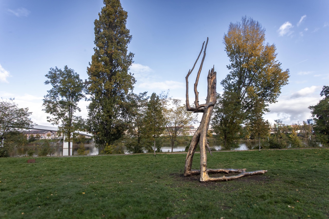 © Krištof Kintera