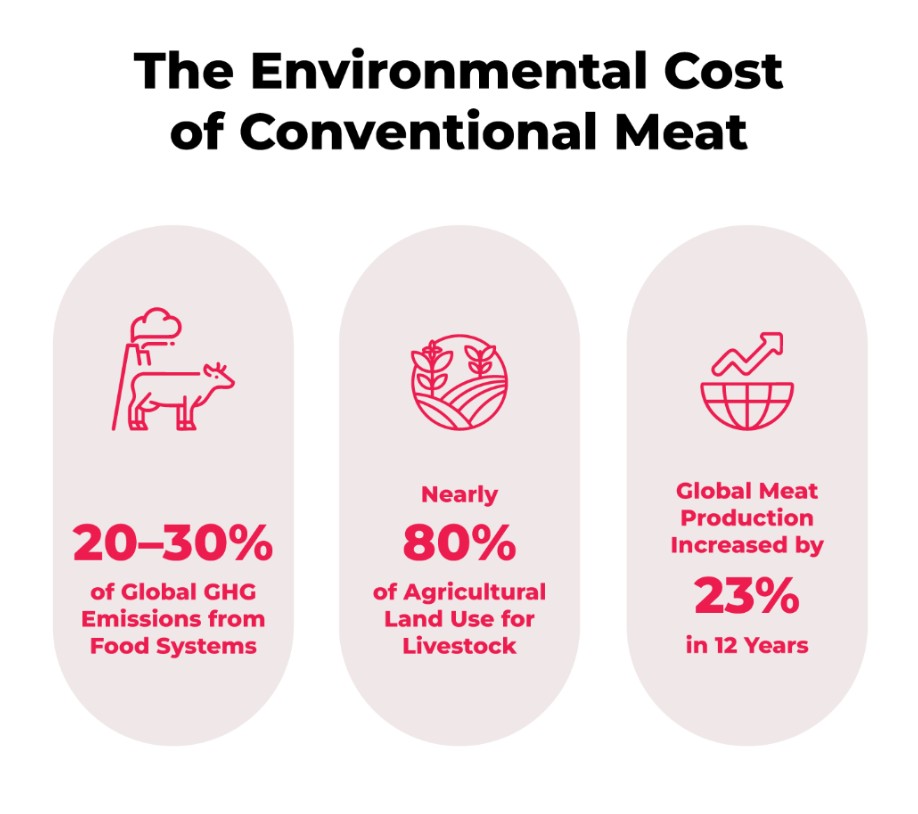The Enviromental Cost of Conventional Meat