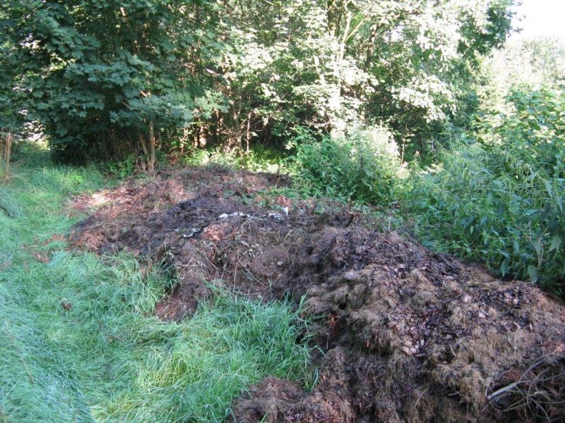 Město odstranilo černé skládky – zmizelo téměř 92 tun odpadu