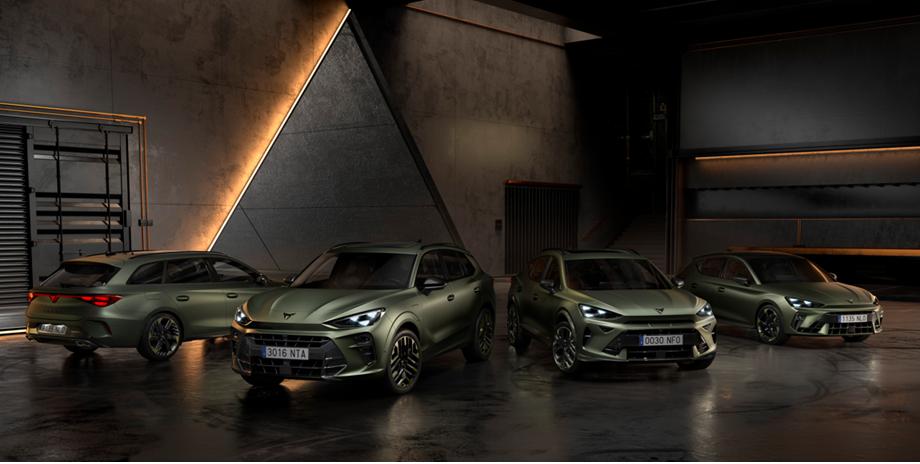 Sunset in the mountains