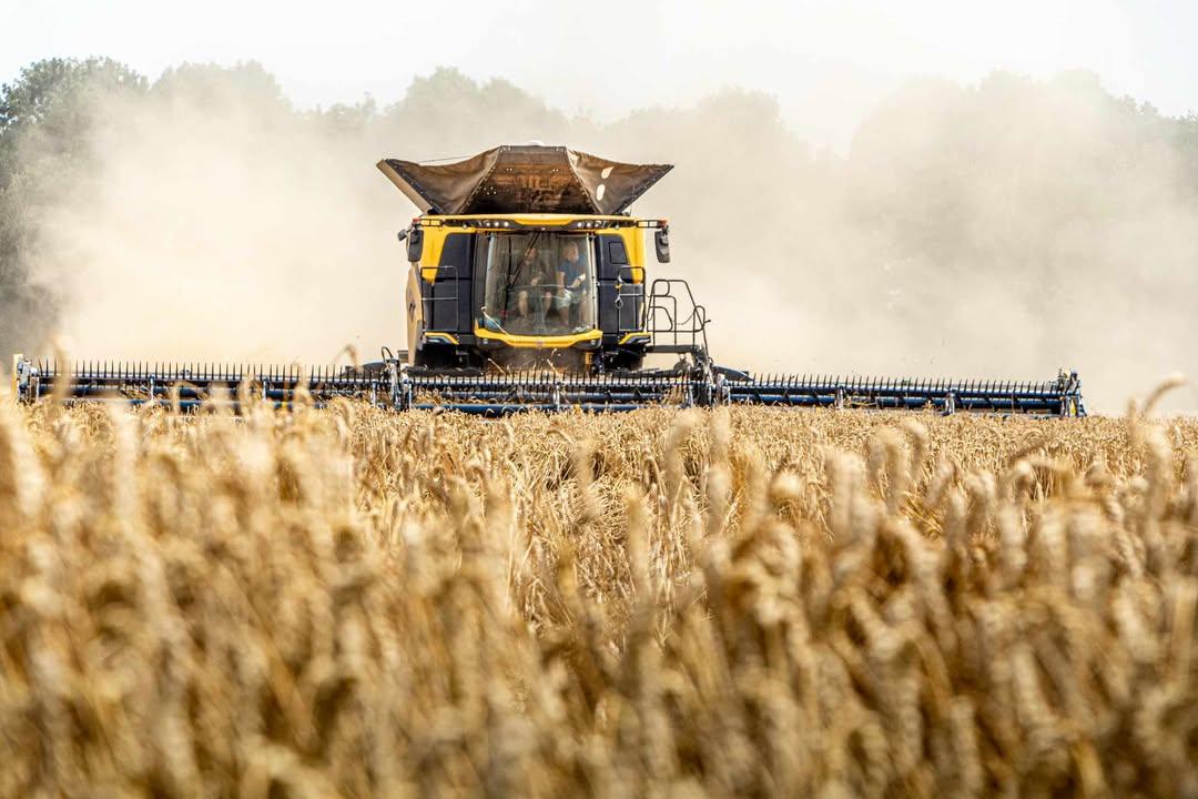 Královna polí, která sklízí rekordy. A postřikovač, co osvěží davy. AGROTEC Group zve na Zemi živitelku