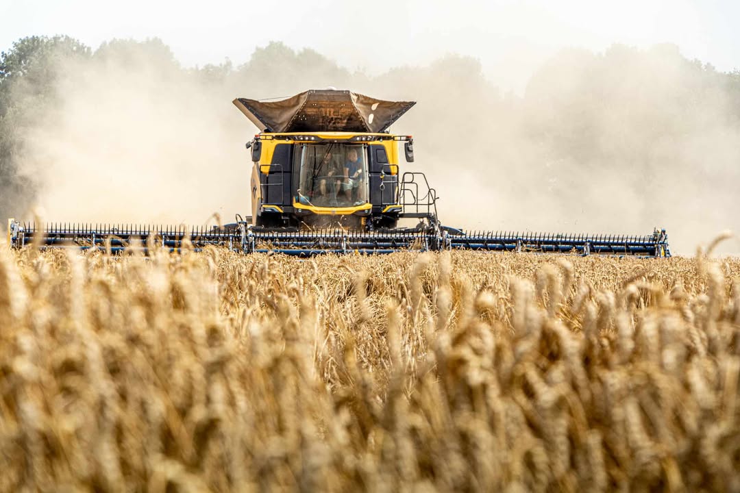 Královna polí, která sklízí rekordy. A postřikovač, co osvěží davy. AGROTEC Group zve na Zemi živitelku