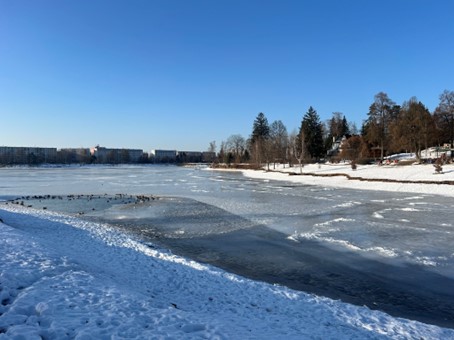 Nožík u školy, obavy v ulicích, cenný odpad i zamrzlé kachny