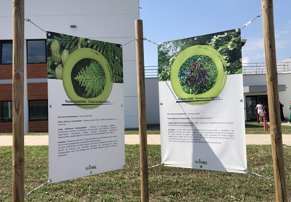 Suroviny pro výrobu homeopatik: přísný výběr, striktní normy a procesy