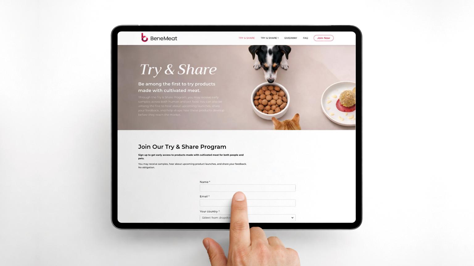 Sunset in the mountains