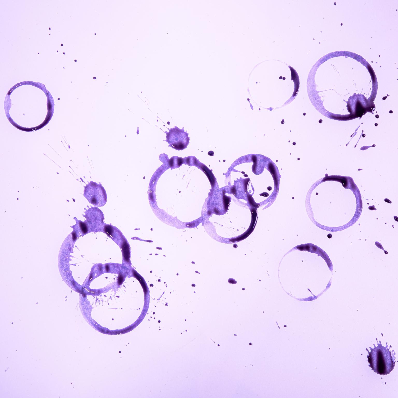 The International Festival of Theatre Schools SETKÁNÍ/ENCOUNTER is not only a primarily educational platform. It is a community that spans all academic years.