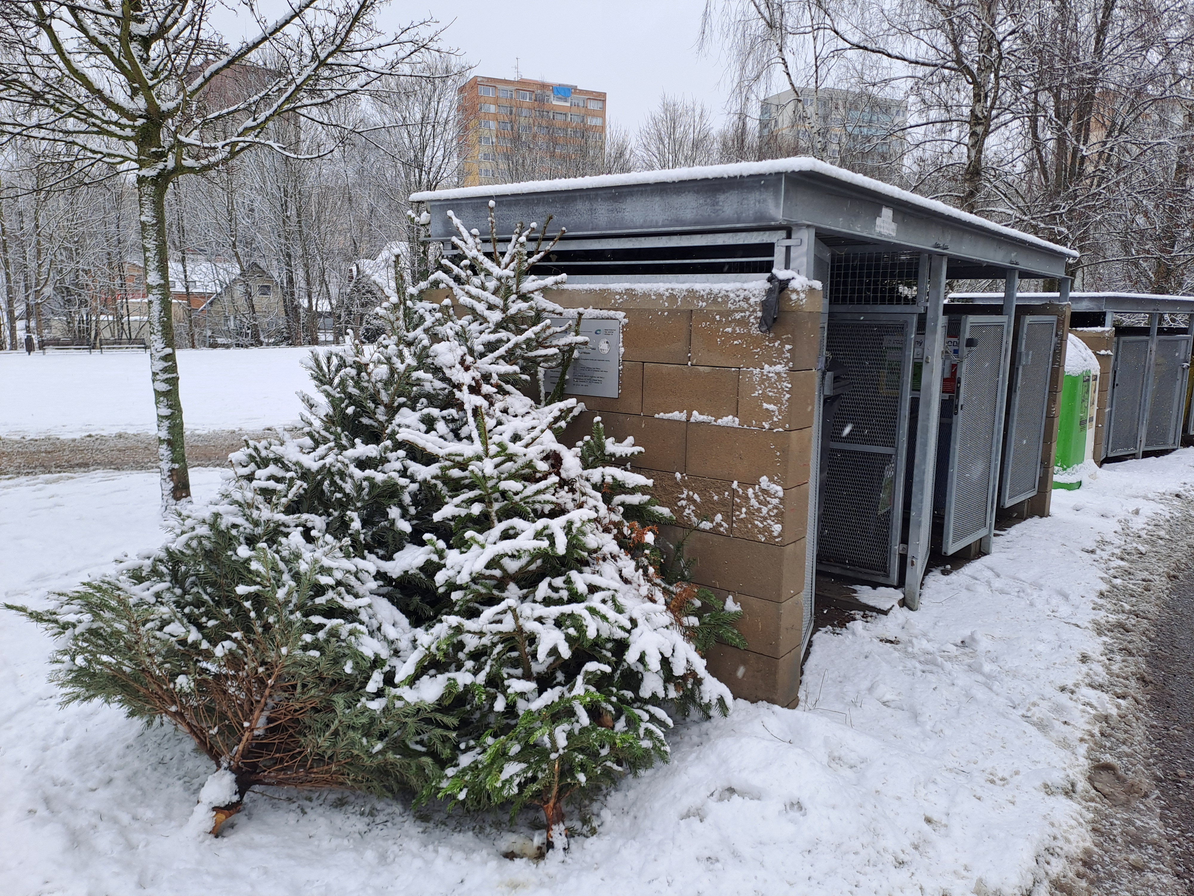 Jablonecký svoz vánočních stromků