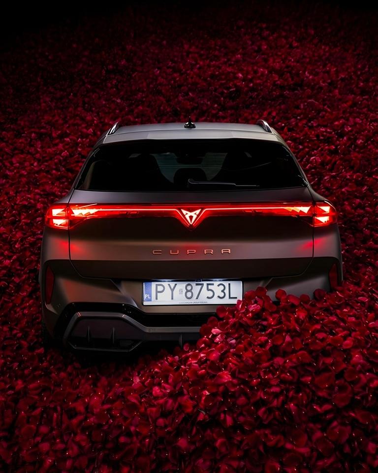 Sunset in the mountains