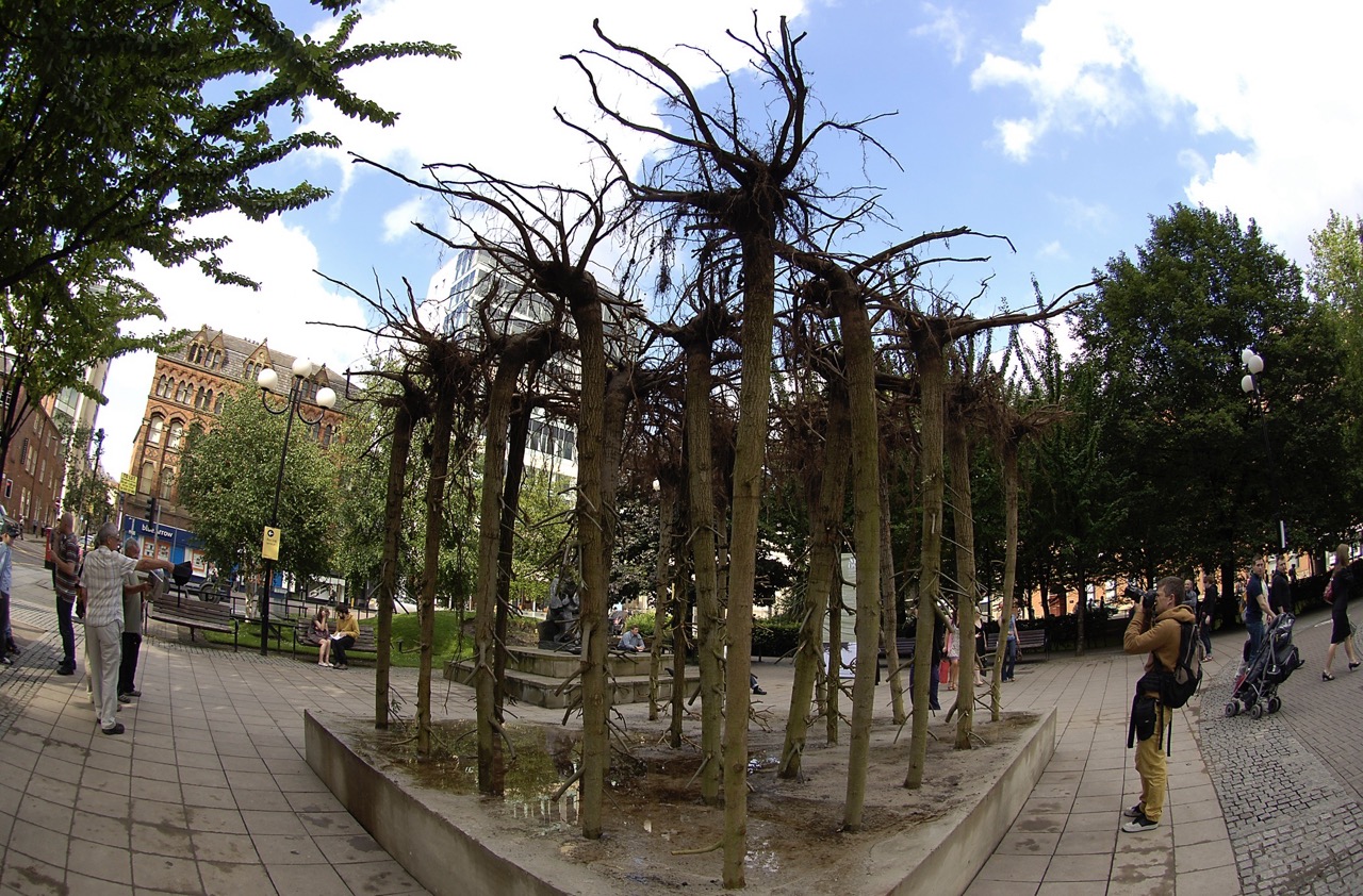 Gustav Metzger, Flailing Trees, Manchester, 2009