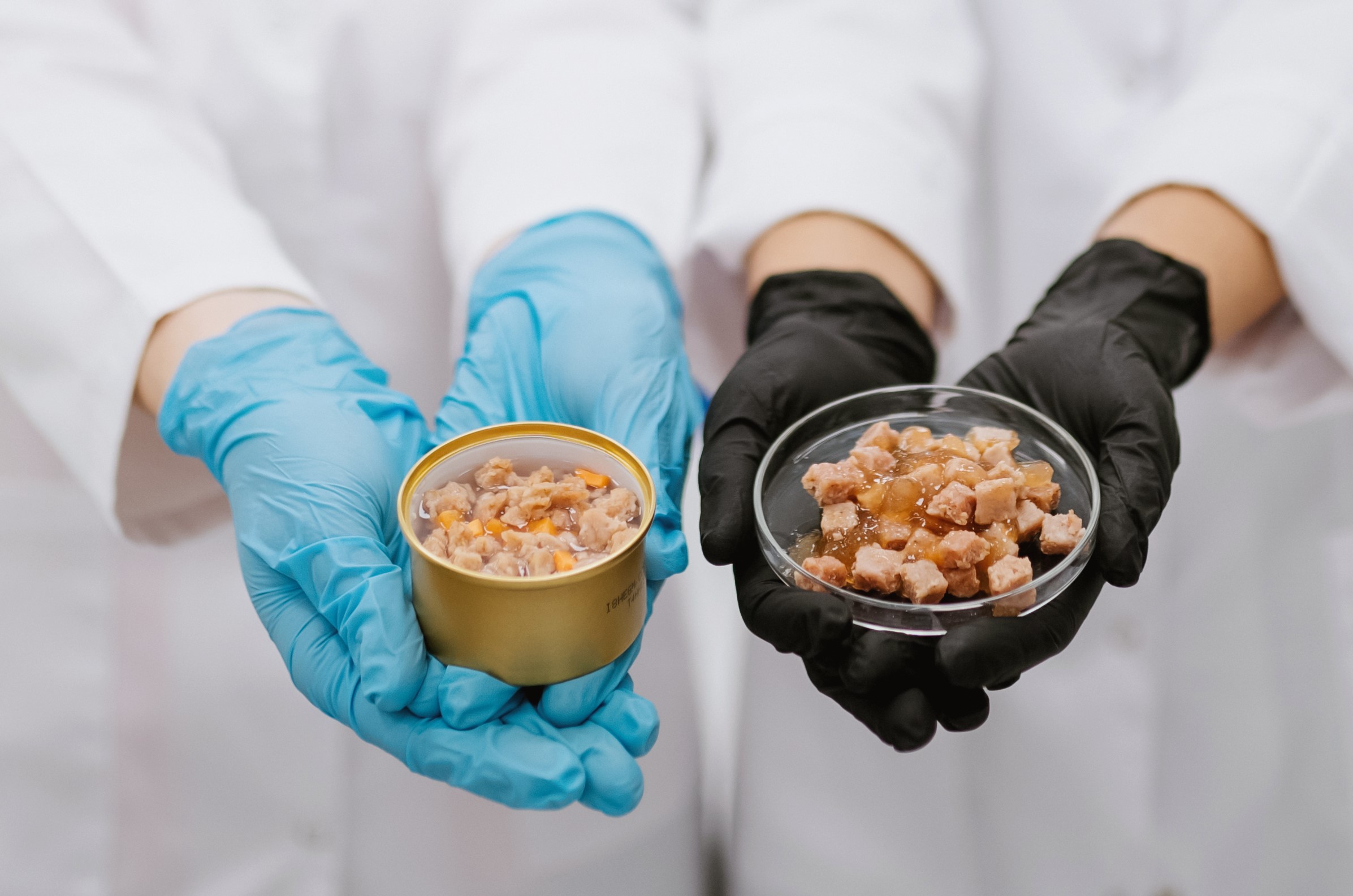 Cultivated meat developed by BeneMeat