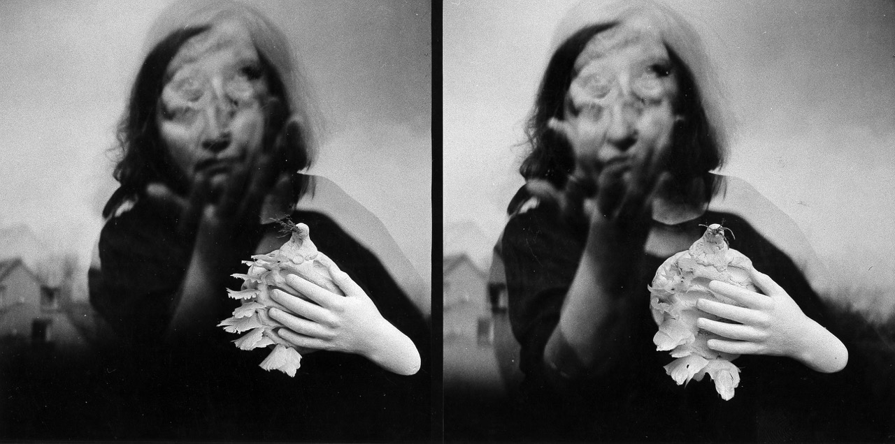 Jan Švankmajer, Zde žila a trpěla E. Š., 1994