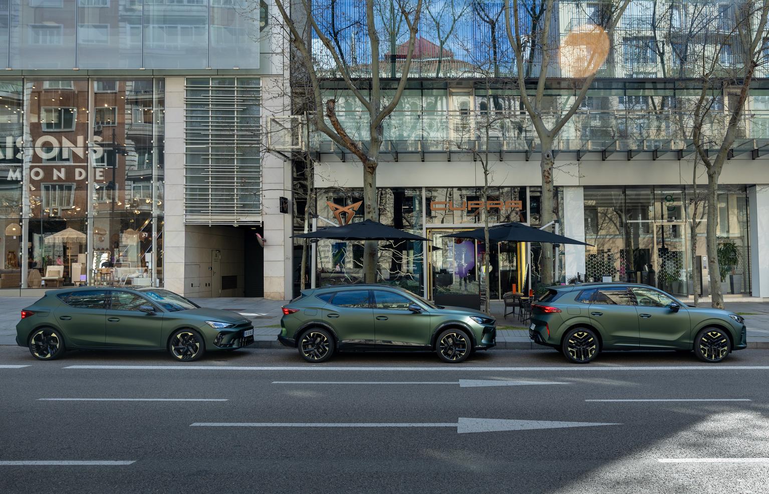 Sunset in the mountains