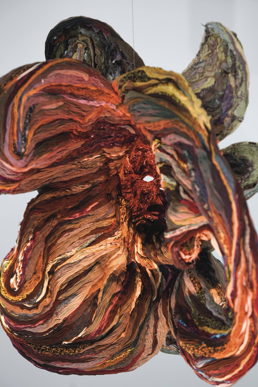 Dominik Styk, Naked Roots, 2024