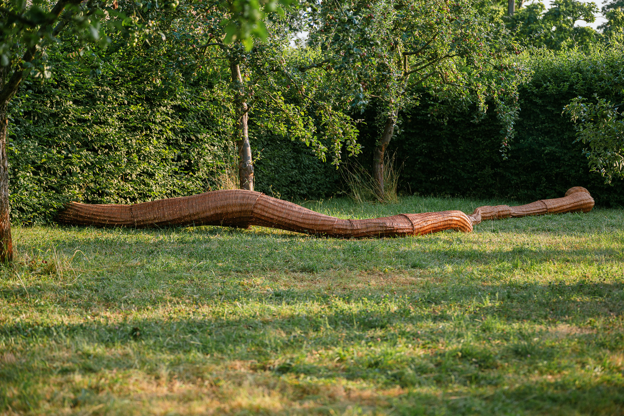 © Jan Hromádko