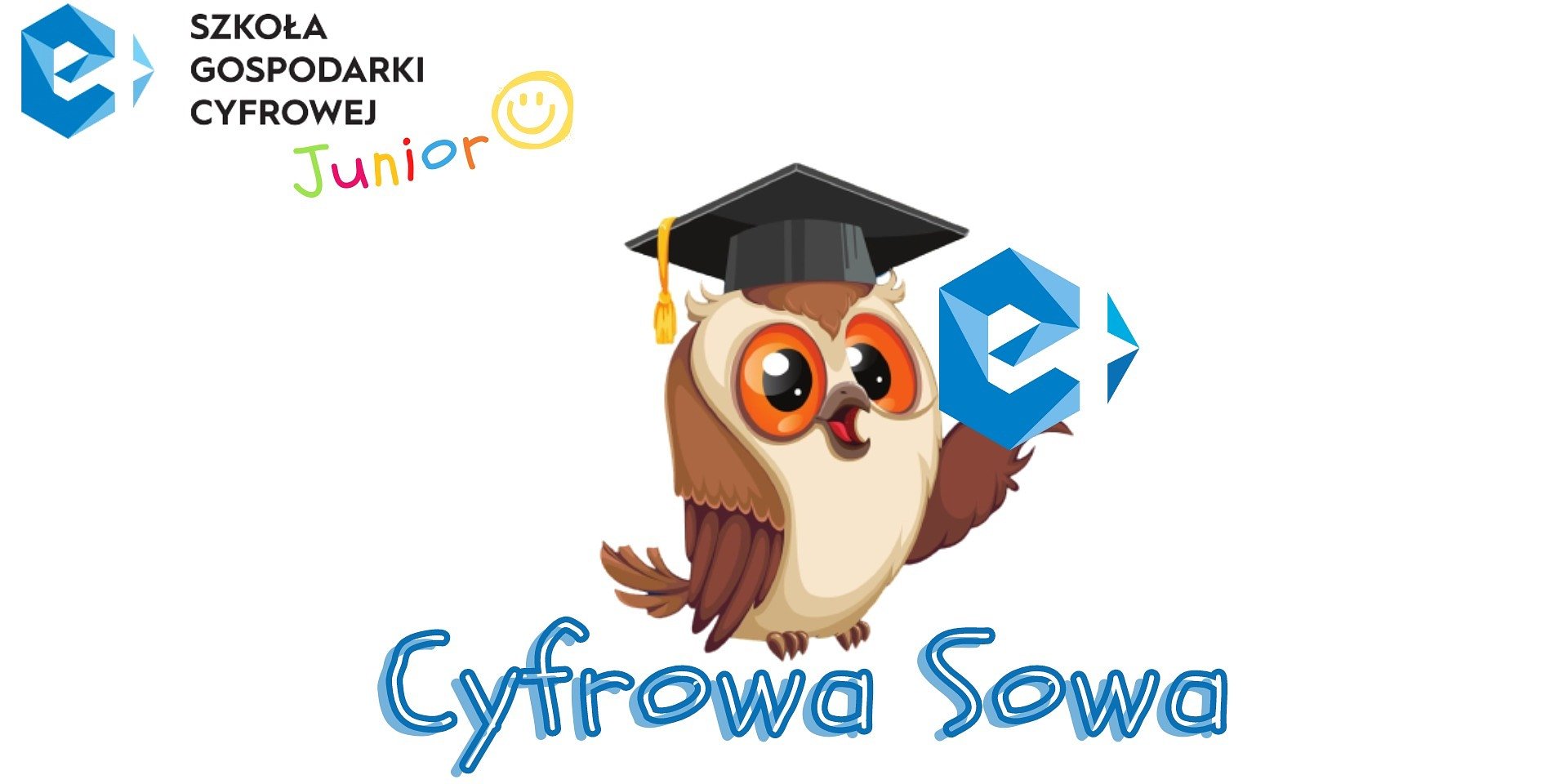 Pod skrzydłami „Cyfrowej Sowy”