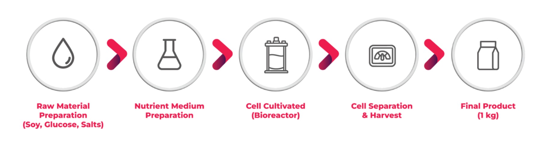LCA framework