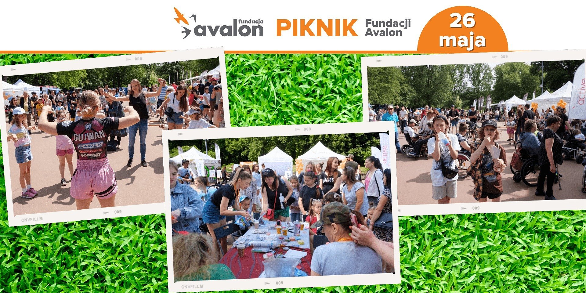 Kolejny Piknik Fundacji Avalon już za dwa tygodnie!