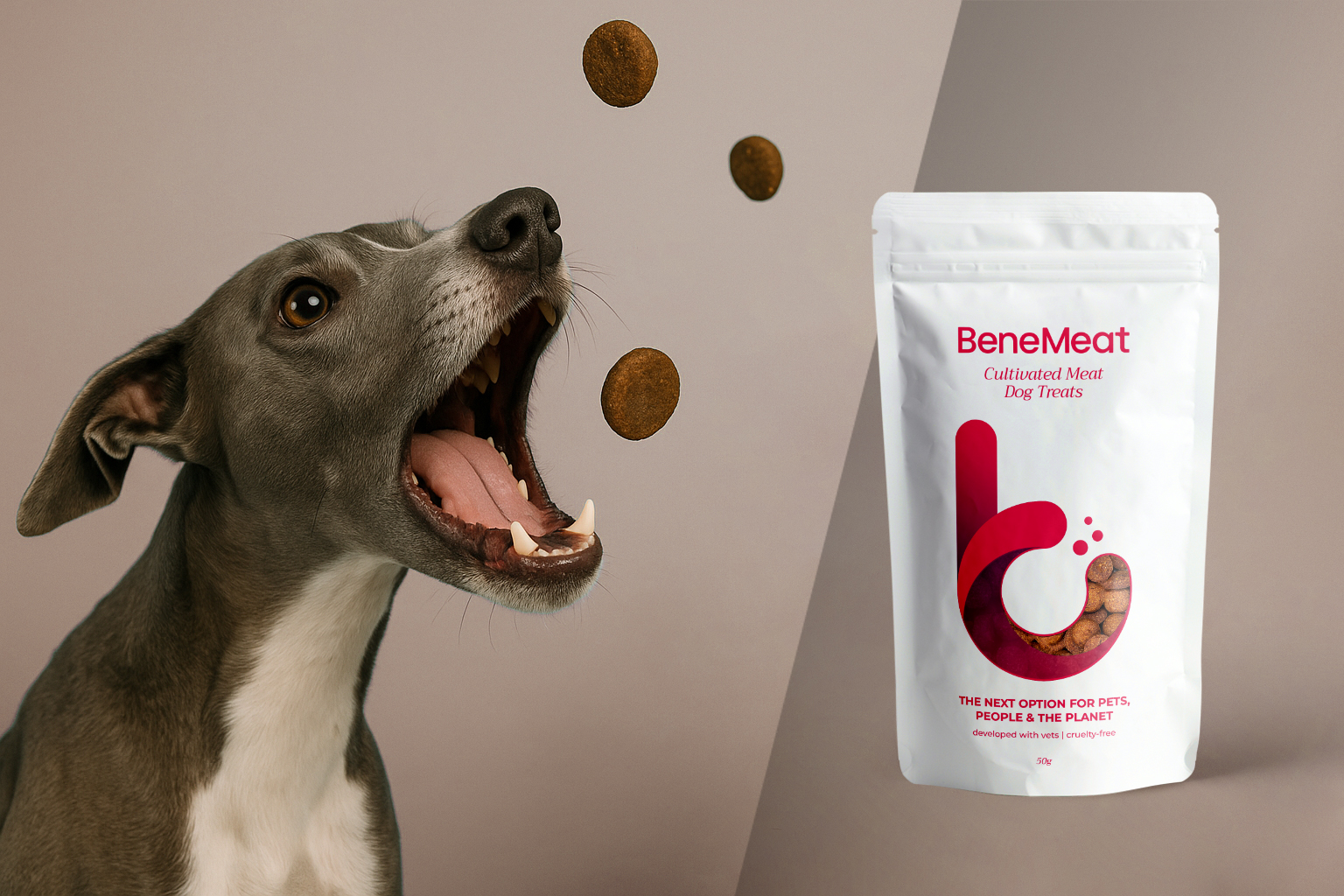 Your pets still have the chance to taste cultivated meat. BeneMeat’s Try & Share program continues across the EU