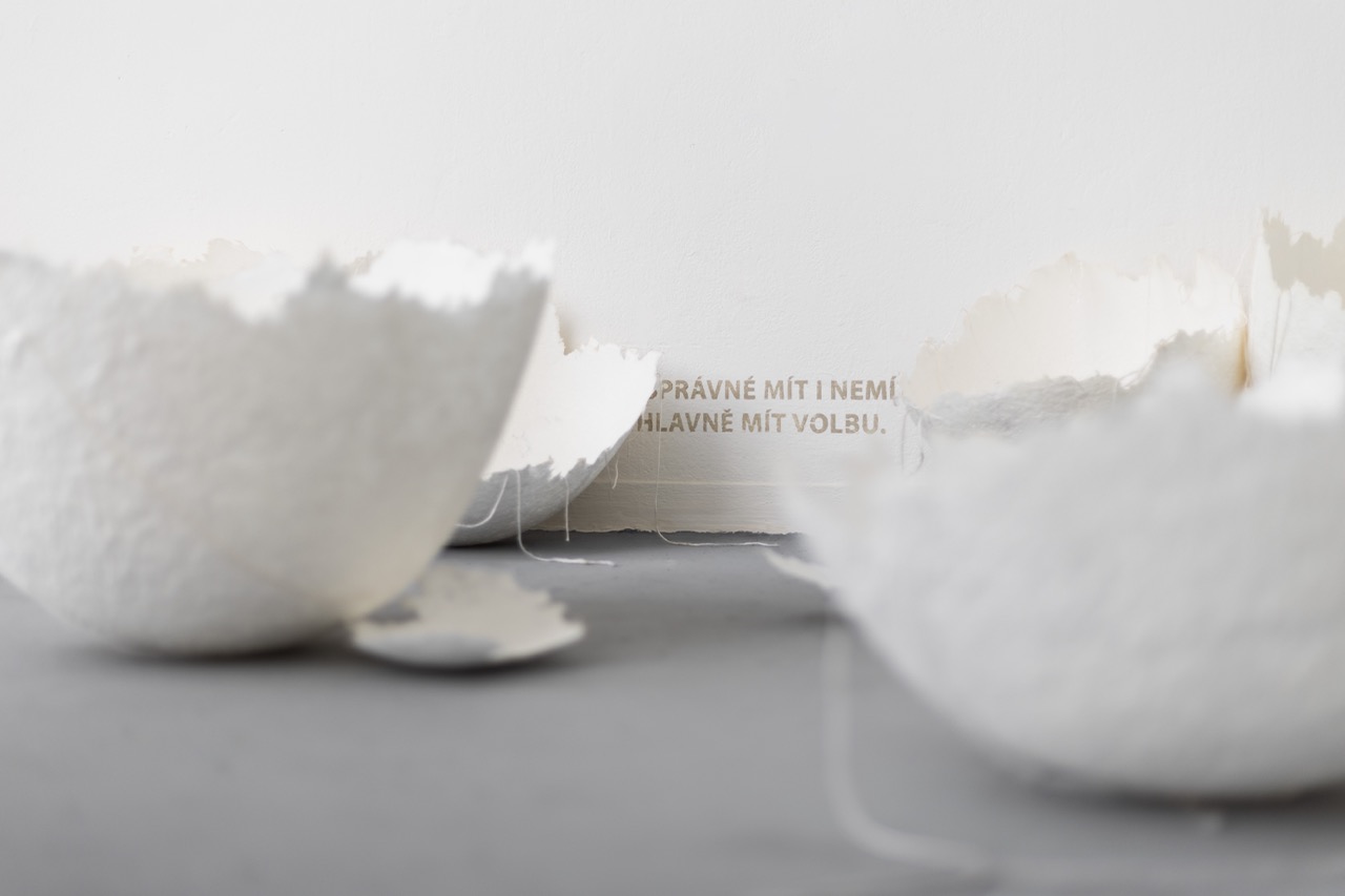 Klára Samcová, Je možné se vzepřít normativním rolím?, 2025