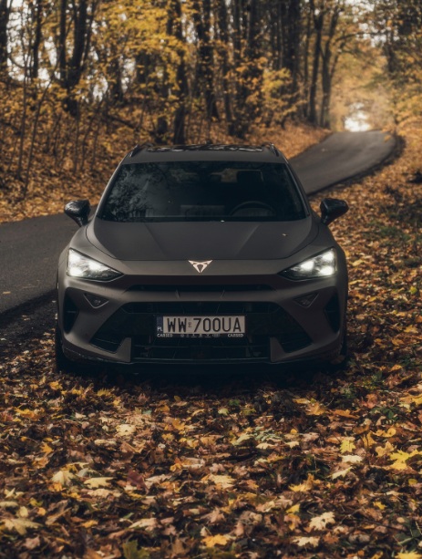 źródło: Instagram cupra_studio_warszawa_wlochy