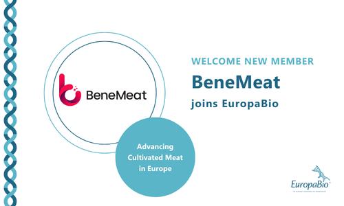 Sunset in the mountains