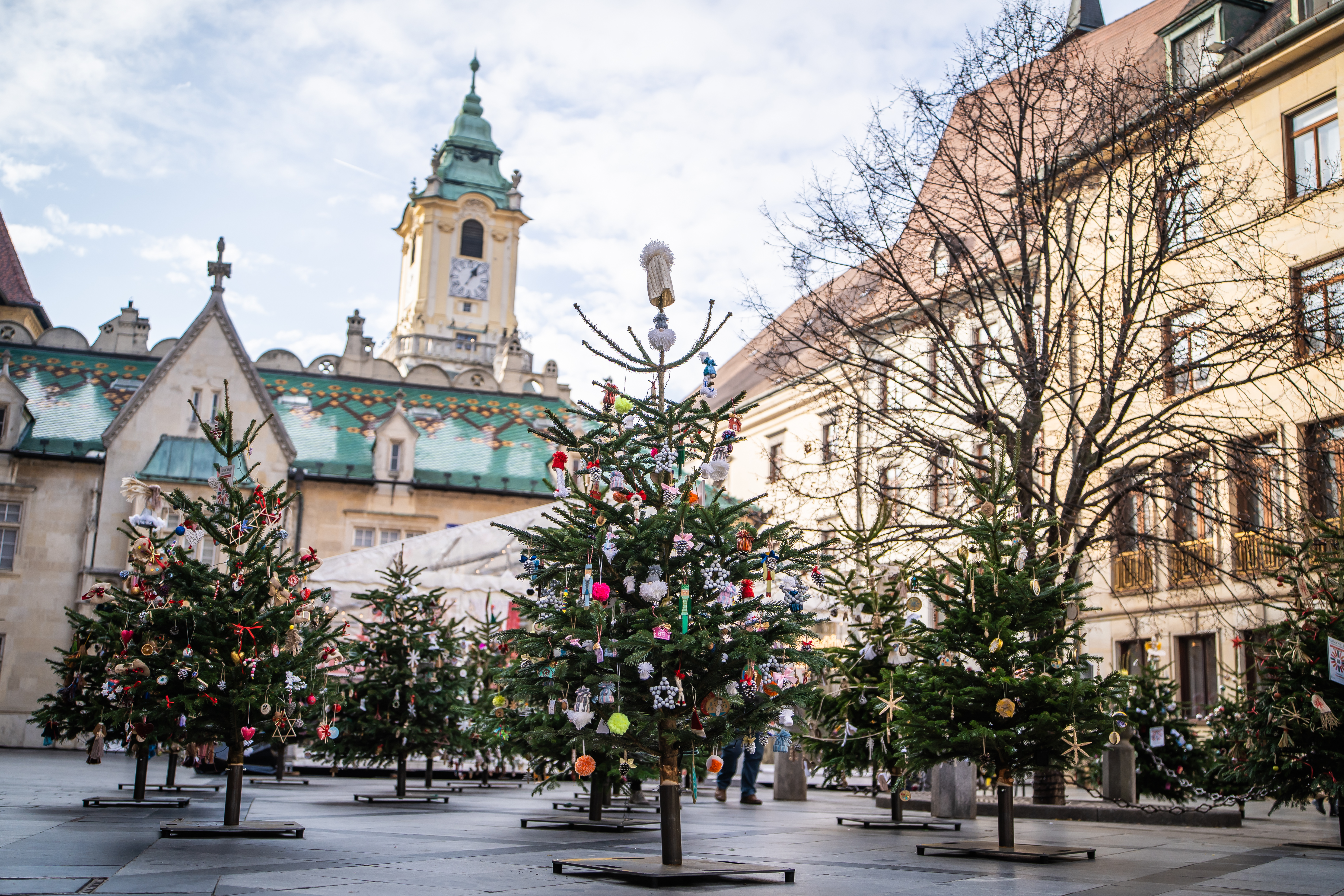 Stromčeky z Vianočného lesa doteraz potešili už viac ako 250 sociálnych zariadení a domácností. Zdroj foto: BKIS