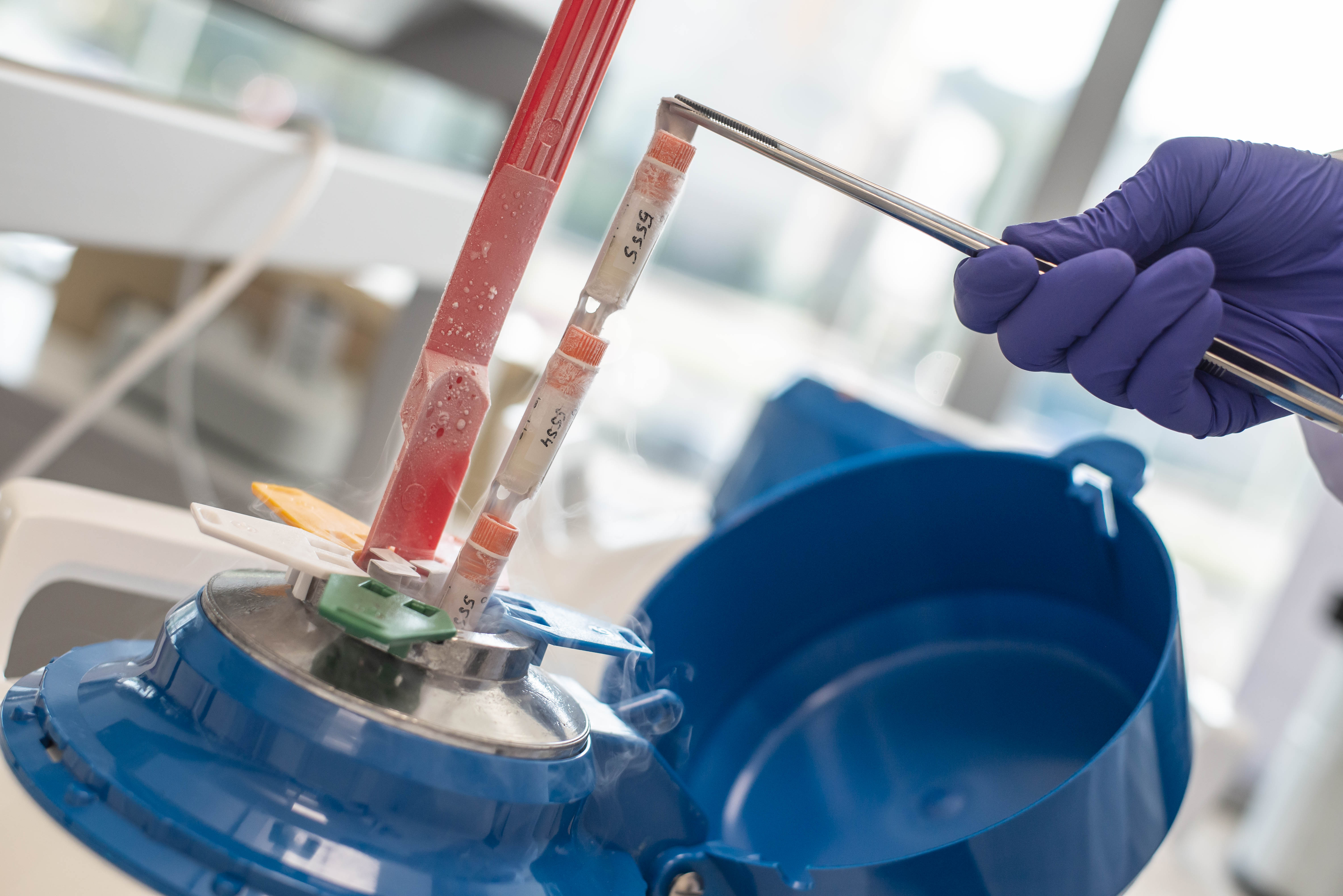 BeneMeat buněčná banka