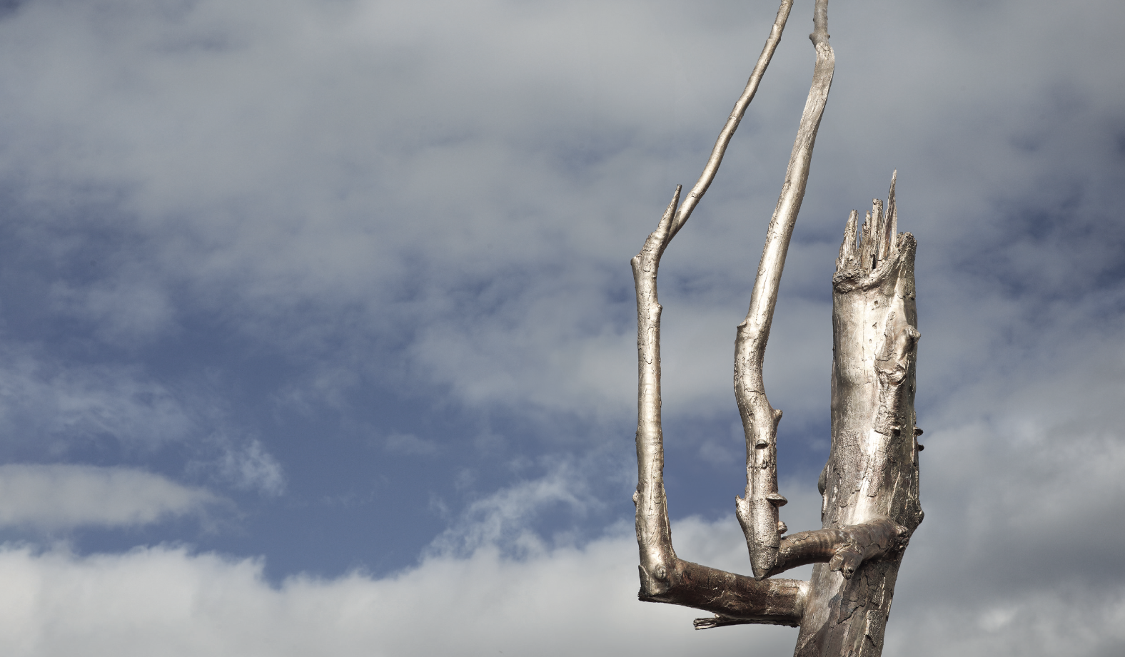 Praying Wood: Krištof Kintera