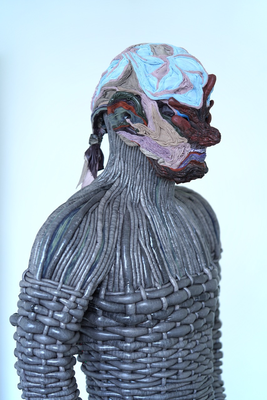 Dominik Styk, Naked Roots, 2024