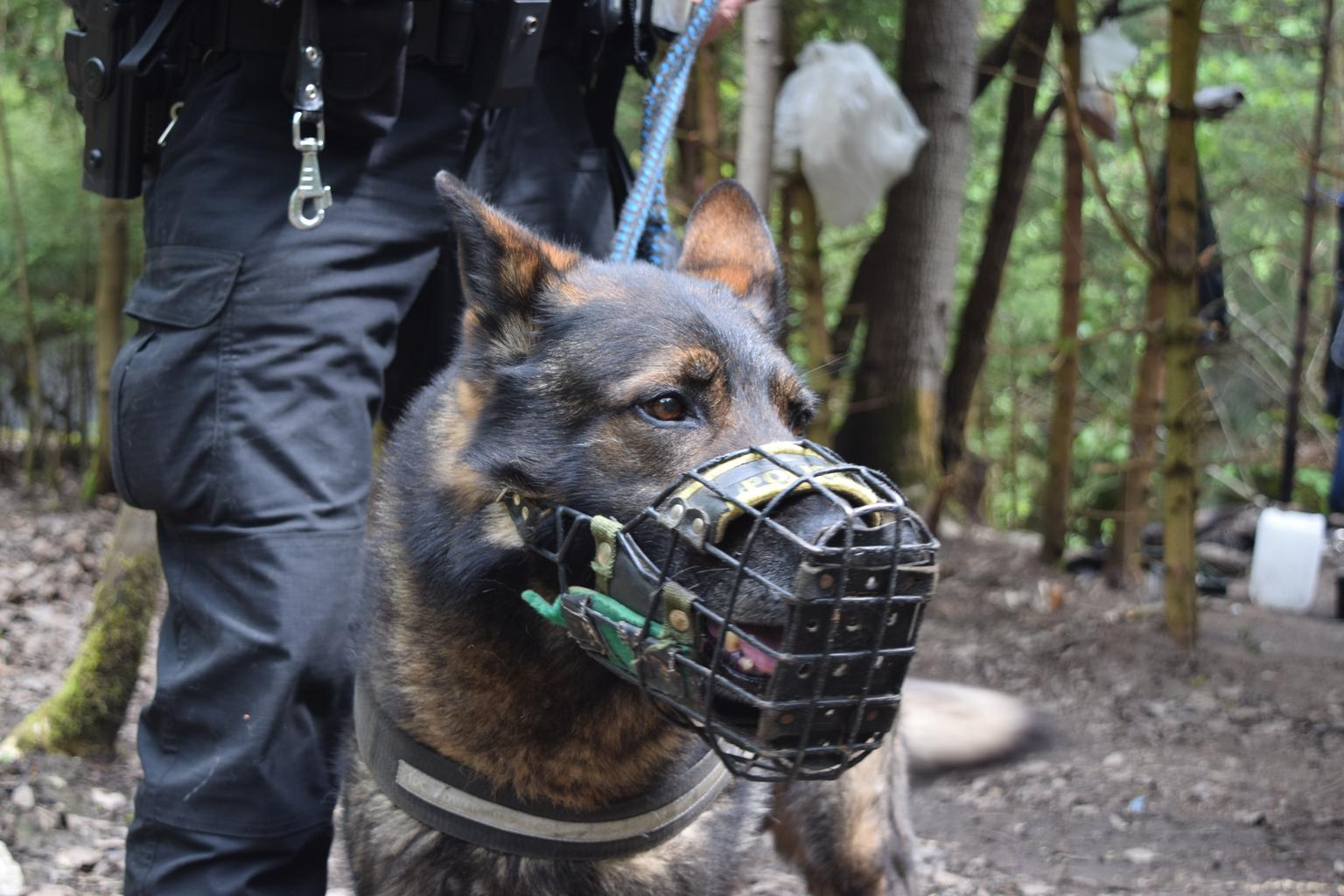 Nová posila městské policie: Seznamte se s Martinem a Cyrilem