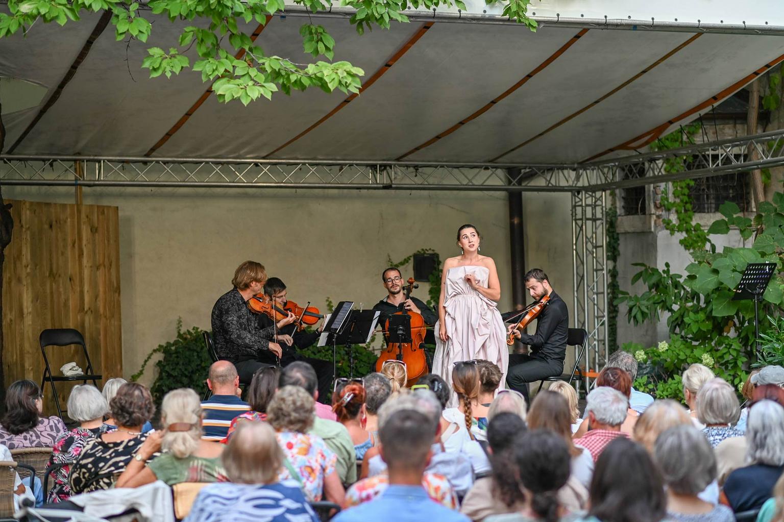 Sunset in the mountains