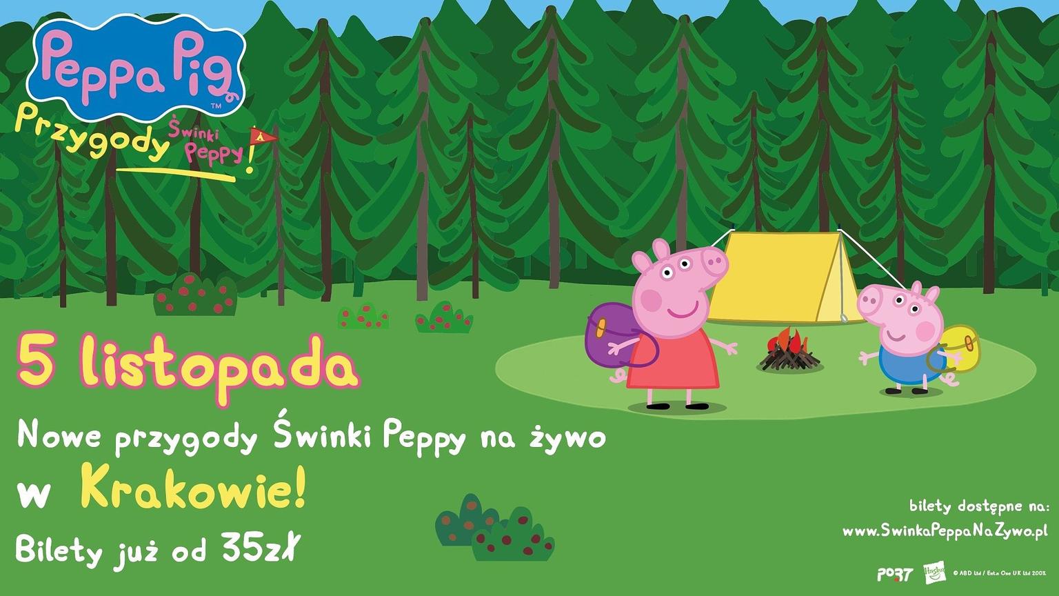 Sunset in the mountains