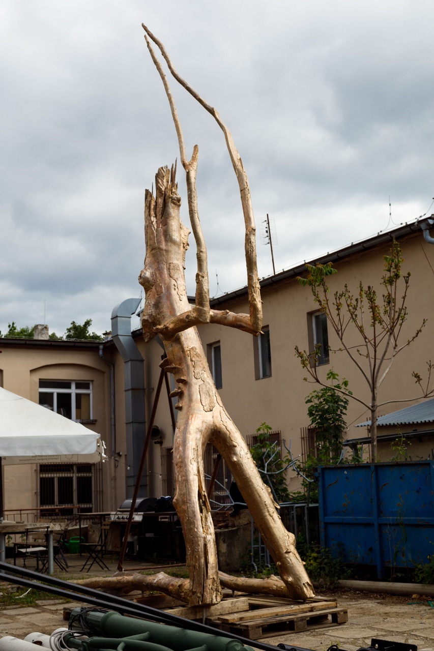 © Studio Krištof Kintera