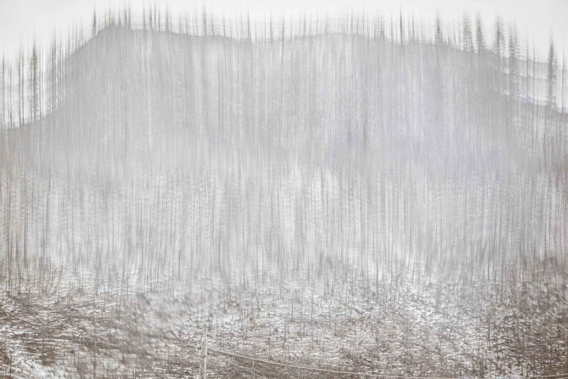 Project The Second Fire (Lake Baikal, Siberia) © Gabriela Bulišová and Mark Isaac