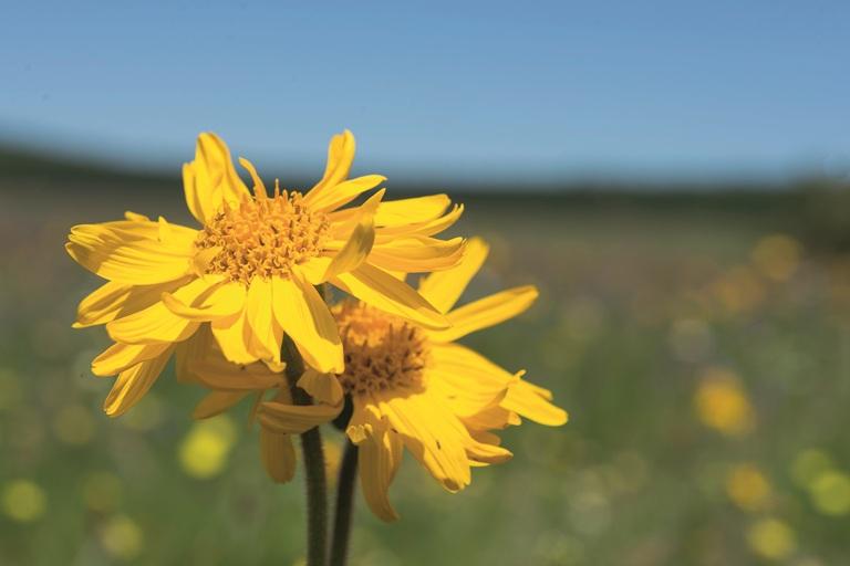 Sunset in the mountains