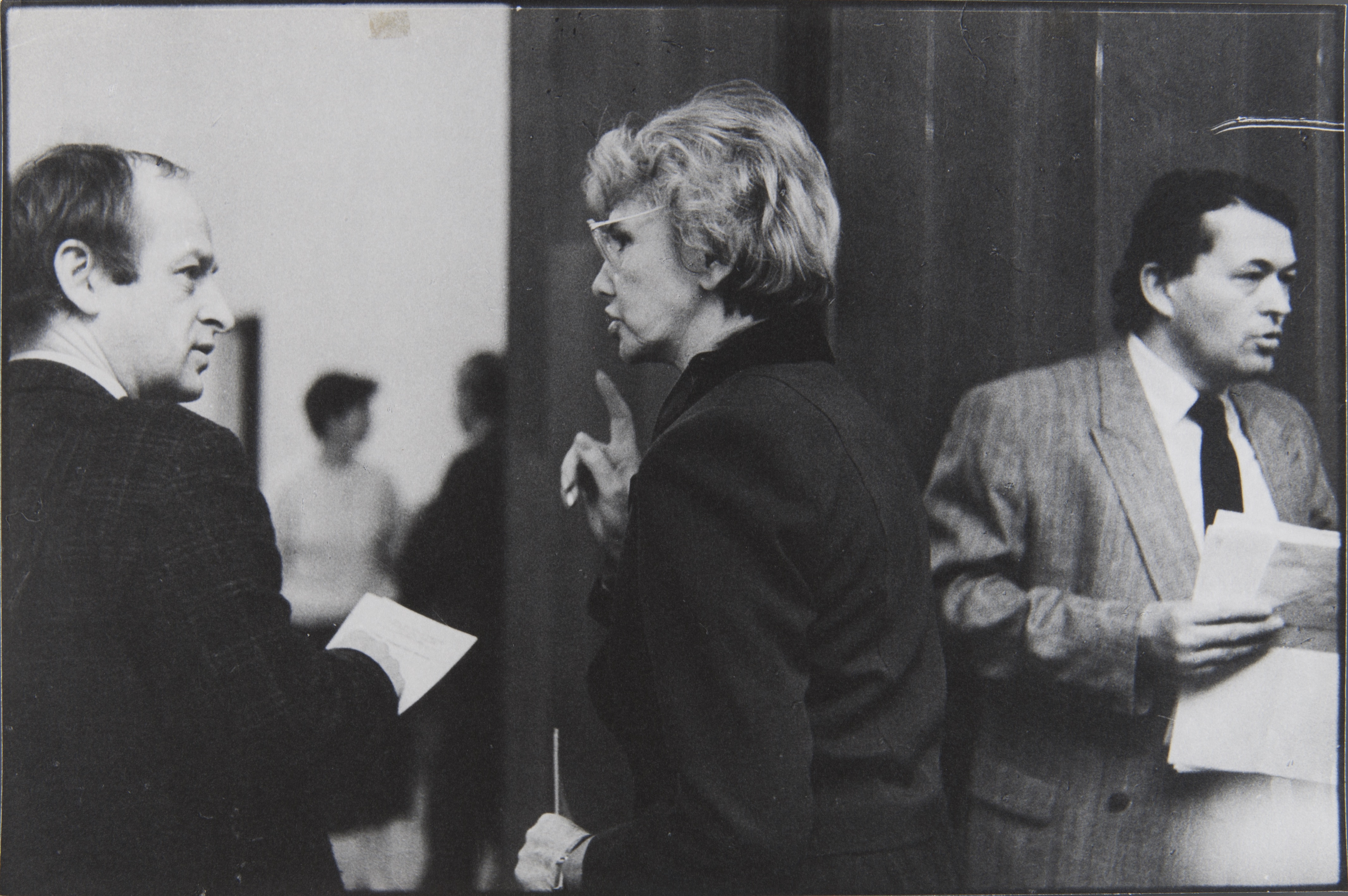 Dagmar Hochová, Z cyklu Česká národní rada (Petr Koháček, Dagmar Burešová, Petr Kynštetr), Praha, 1990–92