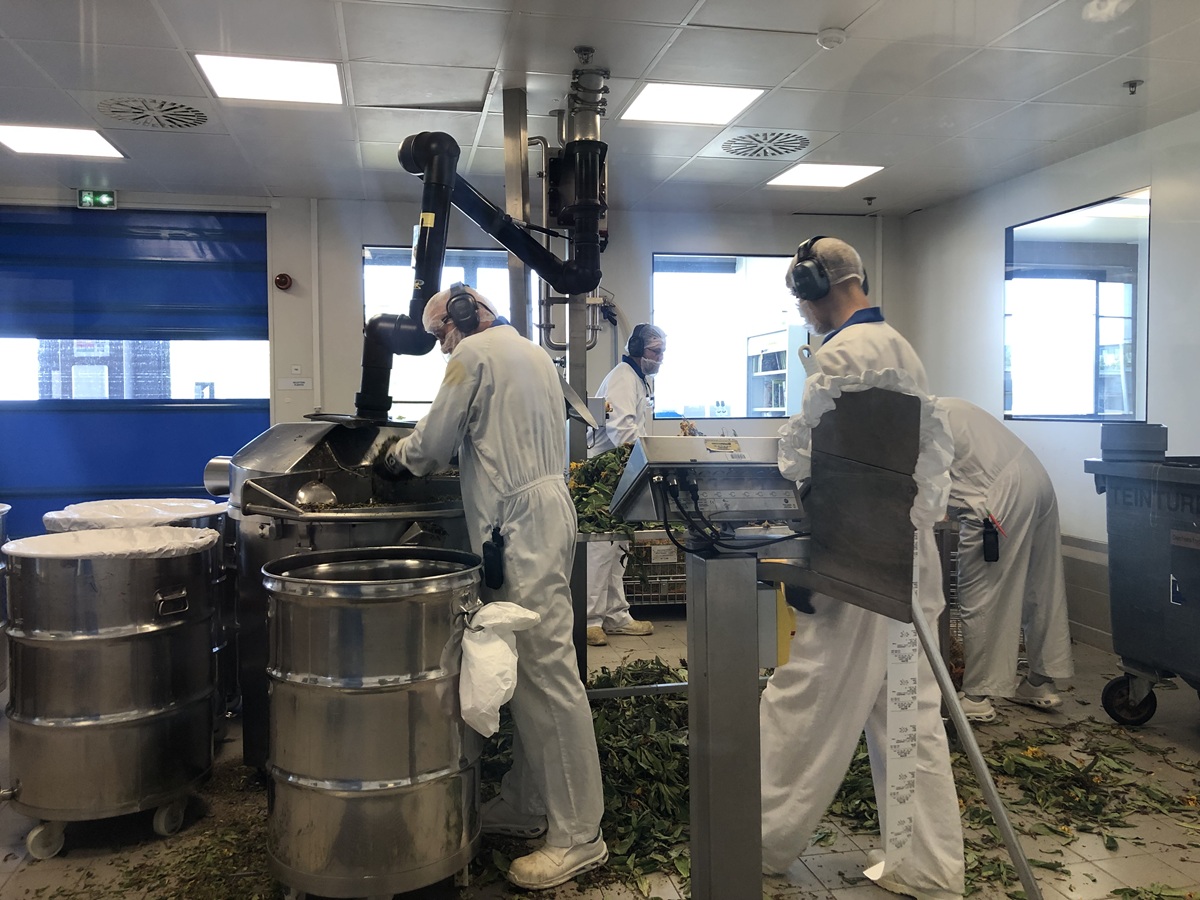 Výroba homeopatických léčivých přípravků a její fáze