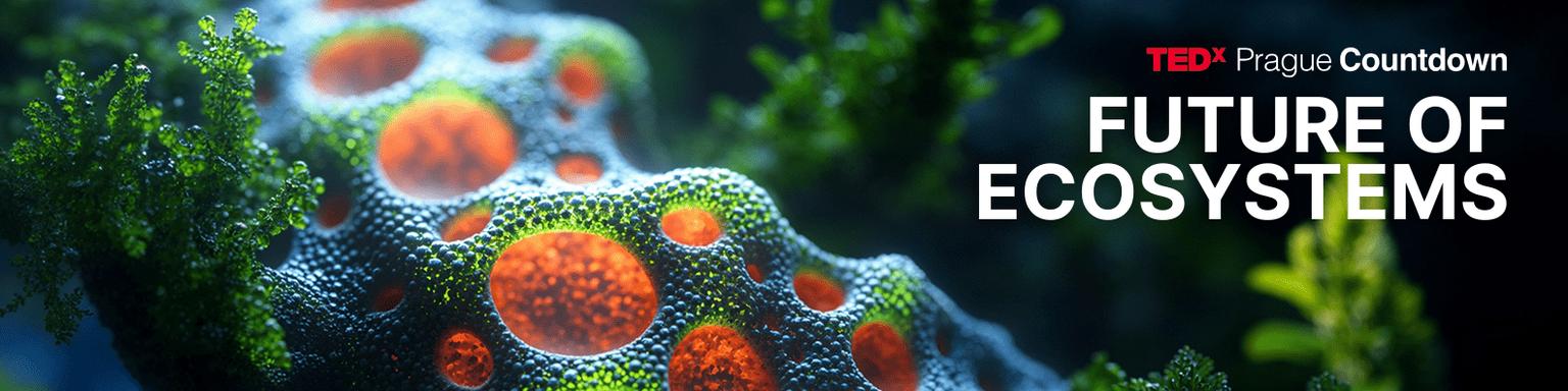 Sunset in the mountains