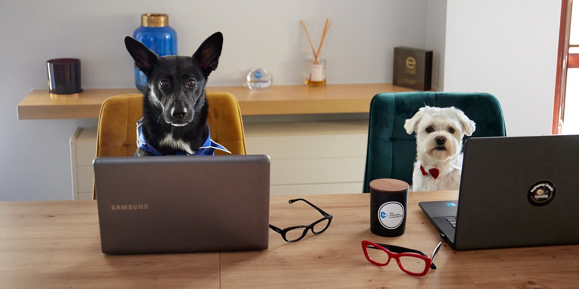 W moim magicznym, wielogatunkowym domu