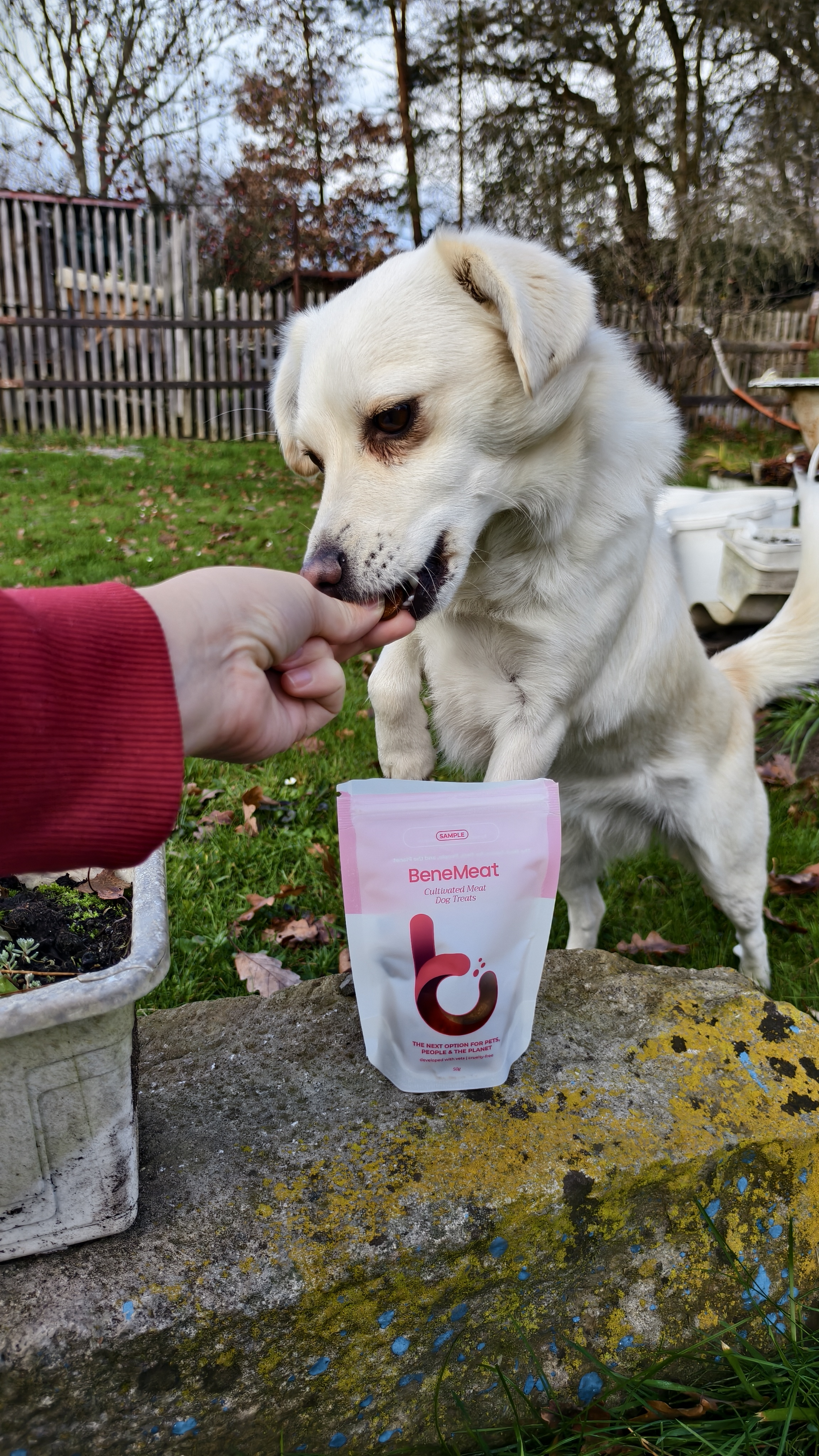 Bella from Czechia