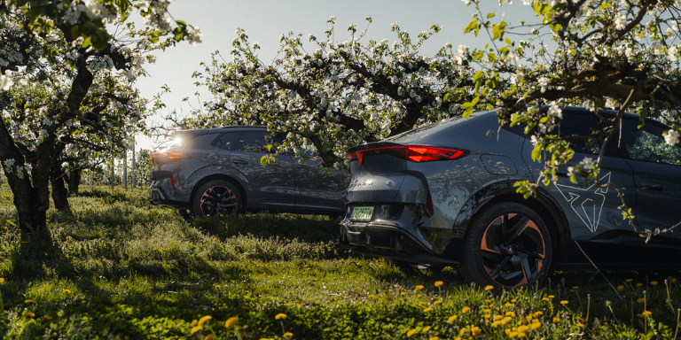 Jak przygotować auto na wiosnę? 5 punktów, na które warto zwrócić uwagę po zimie.