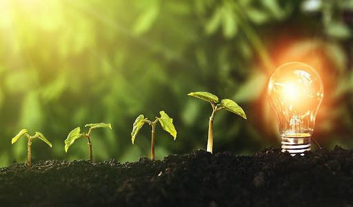 7 proekologicznych startupów wybrał PKO Bank Polski w programie Green Impact